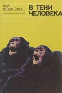 В тени человека