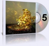 Классики и современники. Стихотворения и поэмы. Часть 05