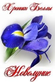 Хроники Беллы: 2. Новолуние