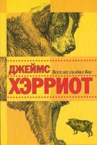 Всех их создал Бог