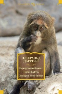 По всему свету: 4. Гончие Бафута