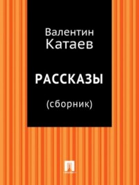 Рассказы