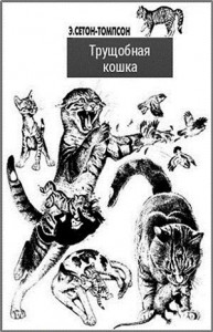 Трущобная кошка
