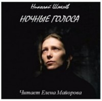 Ночные голоса