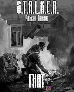 Роман Васин - Stalker: Гнат