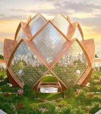 Тифлобудущее