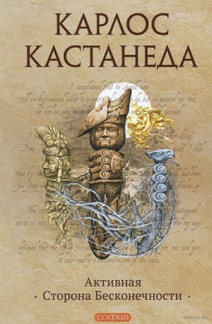 Карлос Кастанеда - Активная сторона бесконечности