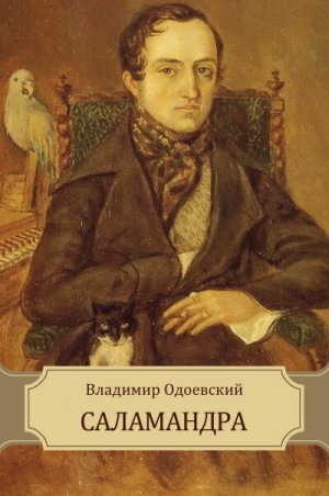 Владимир Одоевский - Саламандра