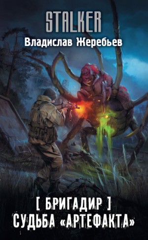 Владислав Жеребьев - S.T.A.L.K.E.R: Бригадир. Судьба «Артефакта»