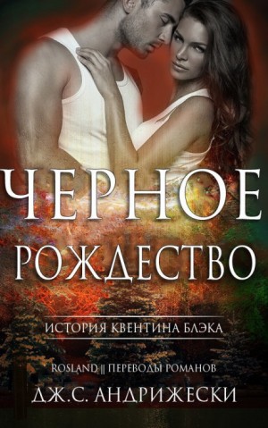 Дж. С. Андрижески - Чёрное Рождество