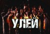 Дамир Брэди - Улей