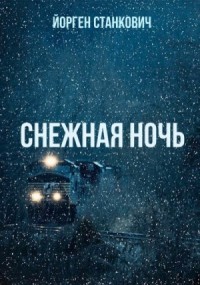 Снежная ночь
