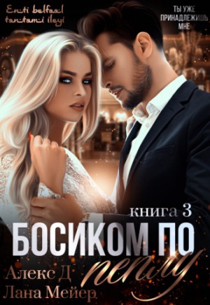Алекс Д., Лана Мейер - Босиком по пеплу. Книга 3