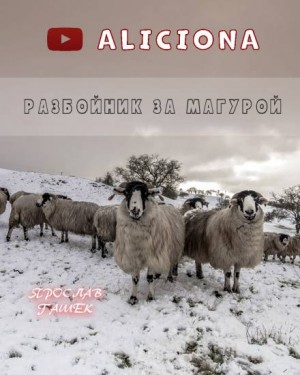 Ярослав Гашек - Разбойник за Магурой