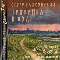 Тропинка в поле