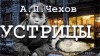 Антон Чехов - Устрицы
