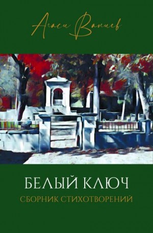 Ваниев Агаси - Белый ключ