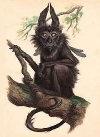 Чародей с улицы Тележной; Ведьмак из коммуналки