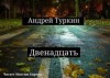 Андрей Туркин - Двенадцать