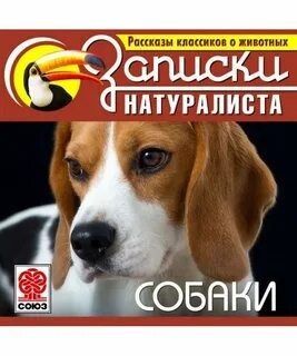 Лев Толстой, Антон Павлович Чехов, Иван Бунин, Джек Лондон, Леонид Андреев, Александр Куприн, Иван Тургенев, Юрий Казаков, Дмитрий Мамин-Сибиряк, Эрнест Сетон-Томпсон, Алексей Новиков-Прибой, Генри Лоусон, Мария Шкапская, Джордж Огл, Ларю Виллис - Рассказы классиков о животных. Собаки