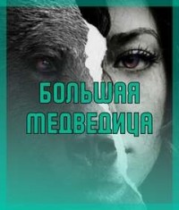 Большая медведица