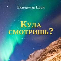 Вальдемар Цорн - Куда смотришь?