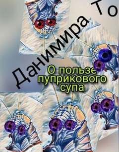 То Данимира - О пользе пуприкового супа: история третья - Маета Аона