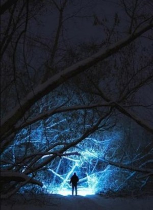 Алексей Черемисов,   - Ночевка