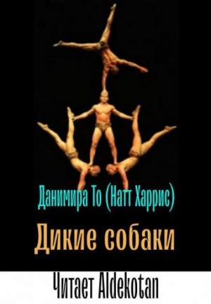 Данимира То  - Дикие собаки