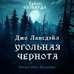 Джо Лансдейл - Угольная чернота