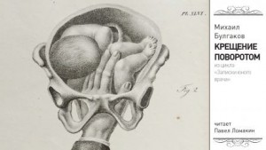 Михаил Булгаков - Крещение поворотом