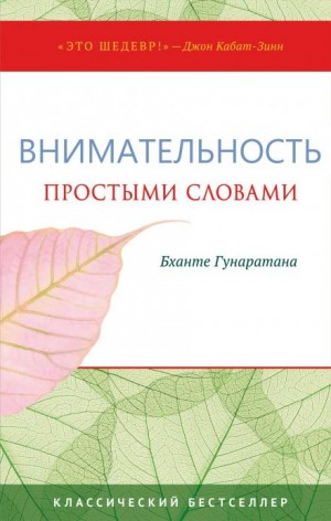 Хенепола Гунаратана - Простыми словами о внимательности. Руководство по медитации випассаны