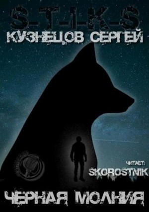 Сергей Кузнецов - Чёрная Молния