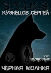 Чёрная Молния
