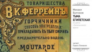 Михаил Булгаков - Тьма египетская