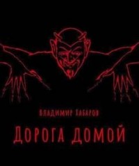 Дорога домой