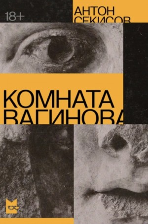 Антон Секисов - Комната Вагинова