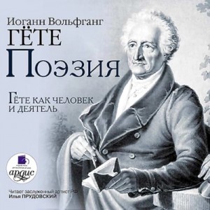 Гете Вольфганг, Николай Холодковский - Поэзия. Гёте как человек и деятель