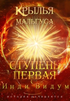 Инди Видум - Ступень первая