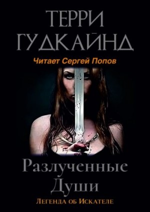 Терри Гудкайнд - Разлучённые души