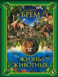 Жизнь животных