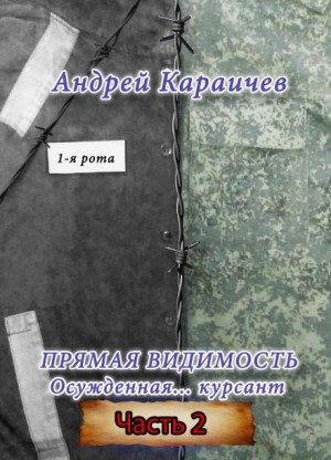 Андрей Караичев,   - Прямая видимость. Часть 2