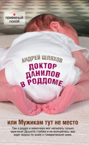 Андрей Шляхов - Доктор Данилов в роддоме, или Мужикам тут не место