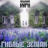 Альбина Нури - Гиблые земли