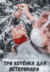 Екатерина Серебрякова - Три котёнка для ветеринара