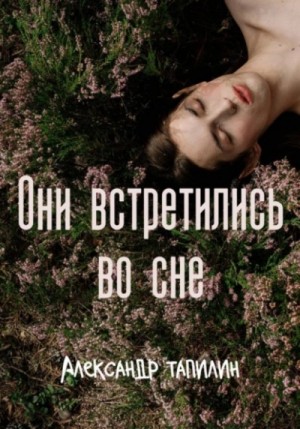 Александр Тапилин - Они встретились во сне