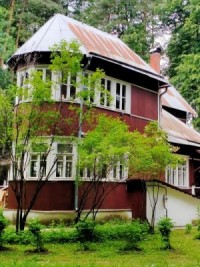 Переделкинский пенал. Дачная жизнь Корнея Чуковского