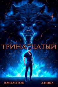 Тринадцатый. Том IV