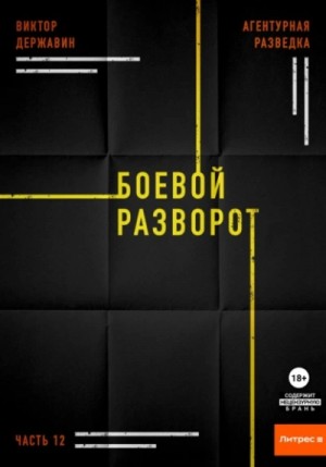 Виктор Державин - Боевой разворот