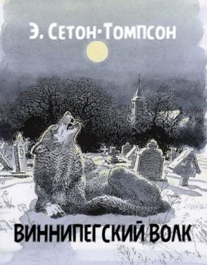 Эрнест Сетон-Томпсон - Виннипегский волк